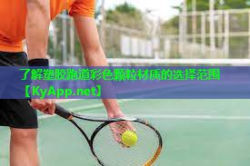 了解塑胶跑道彩色颗粒材质的选择范围