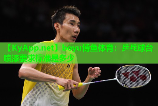 boyu博鱼体育：乒乓球台喷漆要求标准是多少