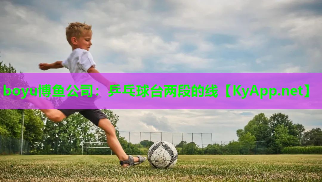 boyu博鱼公司：乒乓球台两段的线