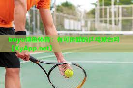 boyu博鱼体育：有可拆卸的乒乓球台吗