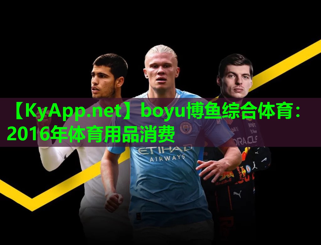 boyu博鱼综合体育：2016年体育用品消费