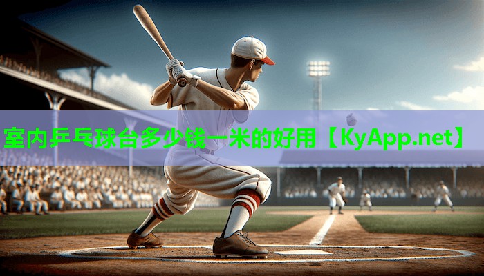 室内乒乓球台多少钱一米的好用