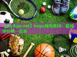 boyu博鱼集团：篮球架价格一览表