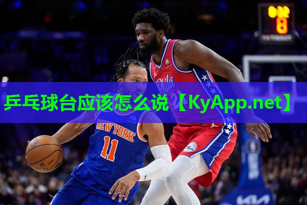 乒乓球台应该怎么说