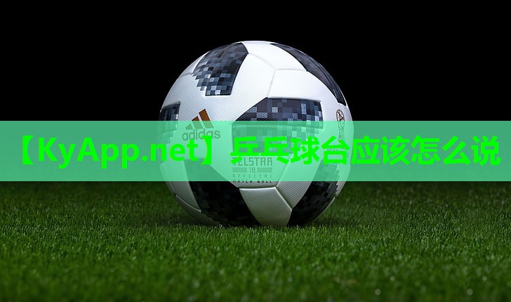 乒乓球台应该怎么说