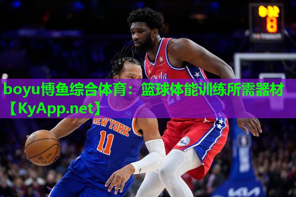 篮球体能训练所需器材