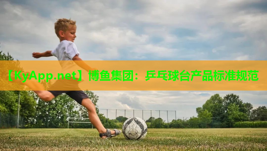 乒乓球台产品标准规范