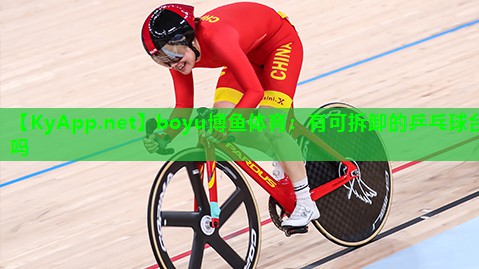 有可拆卸的乒乓球台吗