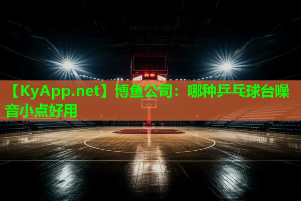 哪种乒乓球台噪音小点好用