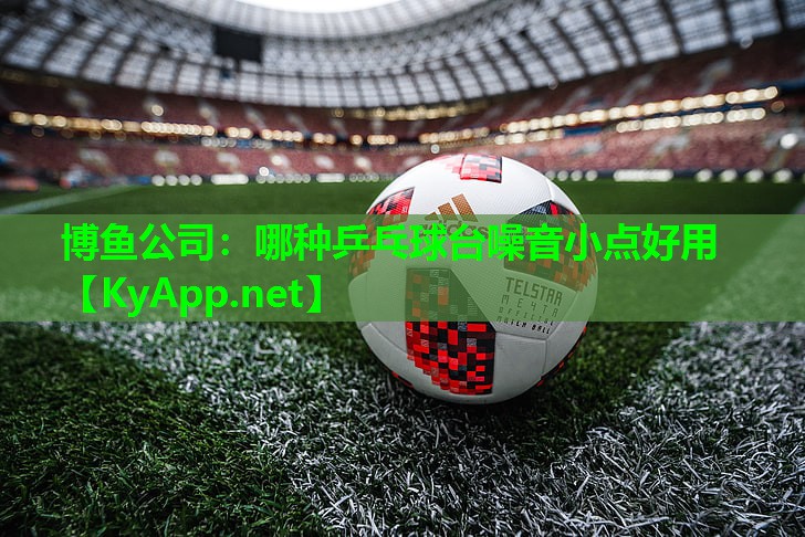 哪种乒乓球台噪音小点好用