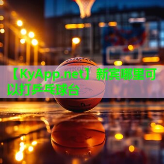 新宾哪里可以打乒乓球台