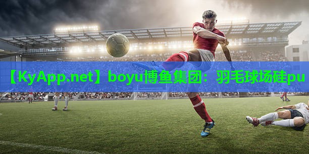 羽毛球场硅pu