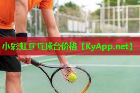 小彩虹乒乓球台价格
