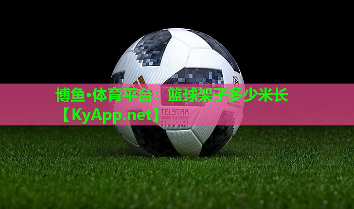 篮球架子多少米长