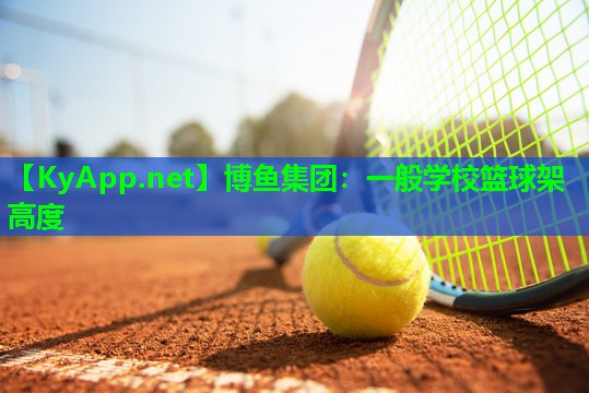 一般学校篮球架高度