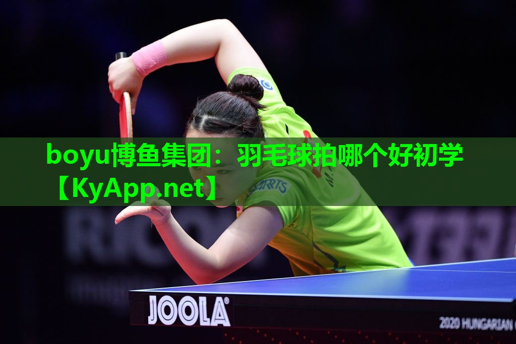 羽毛球拍哪个好初学