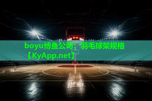 羽毛球架规格