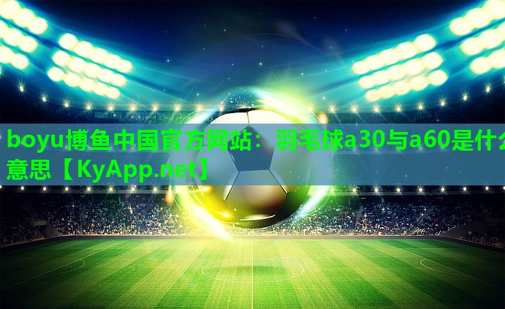 羽毛球a30与a60是什么意思